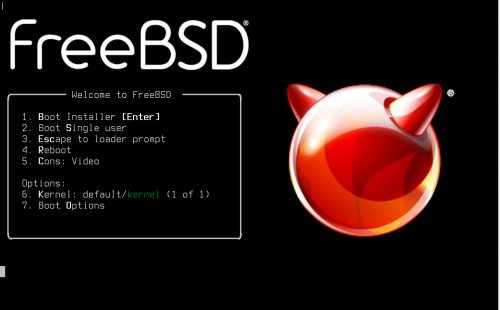 Установка системы FreeBSD
