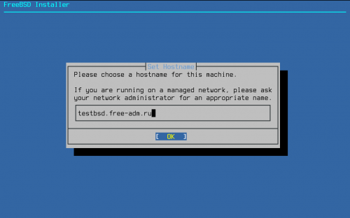 Установка системы FreeBSD